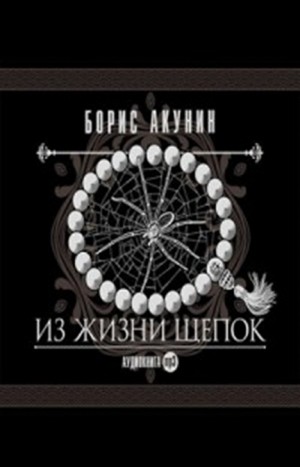 Фандорин Эраст 9: Из жизни щепок