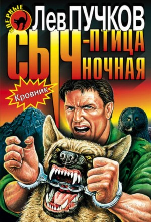 Сыч - птица ночная
