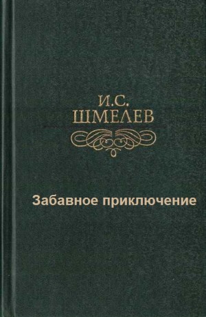 Забавное приключение