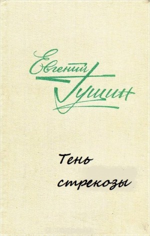 Тень стрекозы