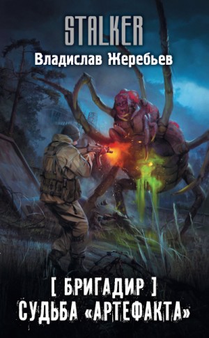 S.T.A.L.K.E.R: Бригадир. Судьба «Артефакта»