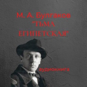 Записки юного врача: 5. Тьма египетская