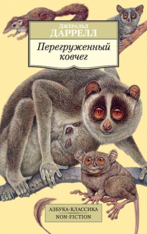 По всему свету: 3. Перегруженный ковчег