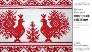 Записки юного врача: 1. Полотенце с петухом