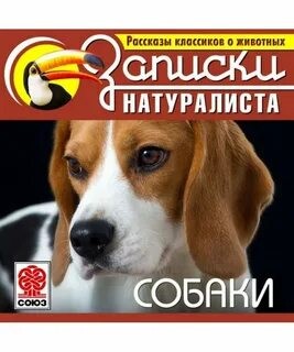 Сборник «Рассказы классиков о животных. Собаки»