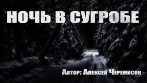 Ночь в сугробе (Ночёвка)