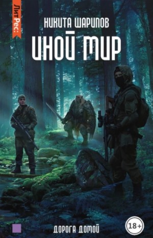 Иной мир: 1.5. Дорога домой