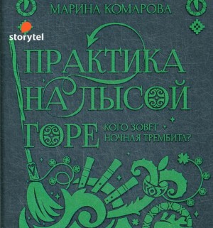 Практика на Лысой горе