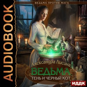 Ведьма, тень и чёрный кот