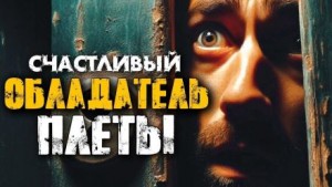 Я стал счастливым обладателем плиты
