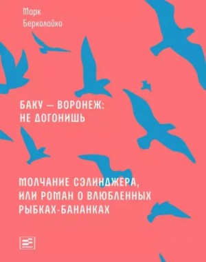 Баку – Воронеж: не догонишь