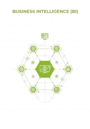 Business Intelligence (BI)