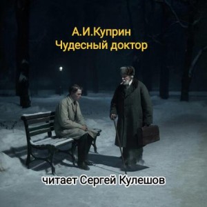 Чудесный доктор
