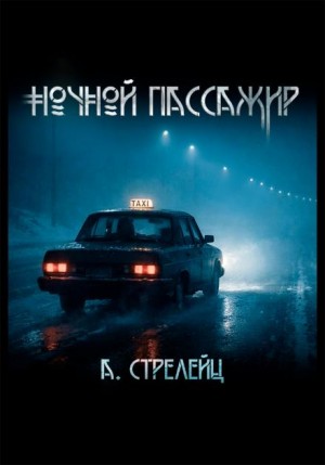 Ночной пассажир