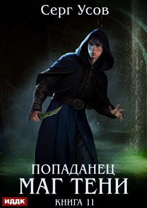 Попаданец. Маг Тени. Книга 11