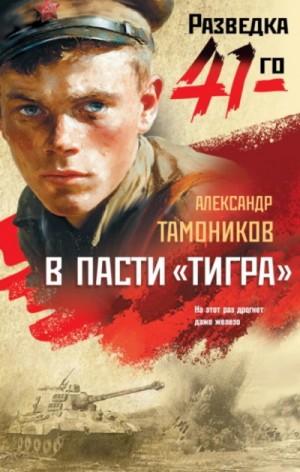 Группа Глеба Шубина. В пасти «тигра»