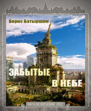 Забытые в небе