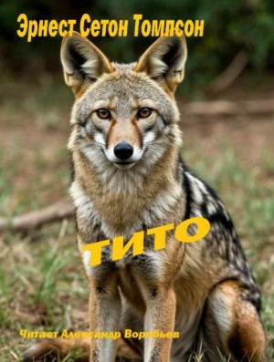 Тито - дочь степей