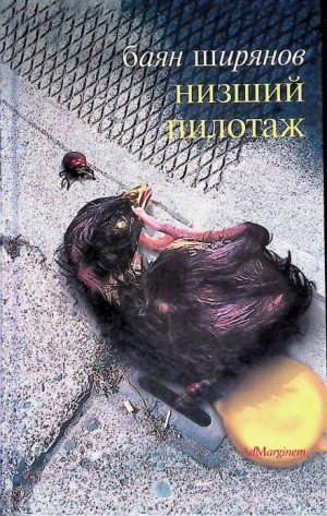 Низший пилотаж