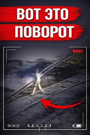 Убийца в парике
