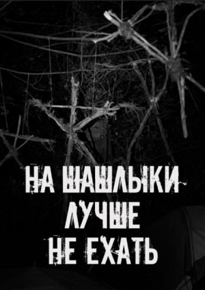 На шашлыки лучше не ехать!