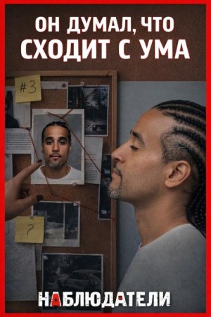 Двойник за решёткой