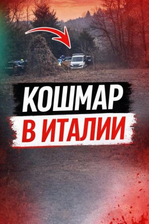 Чемодан среди леса