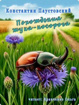 Похождения жука-носорога