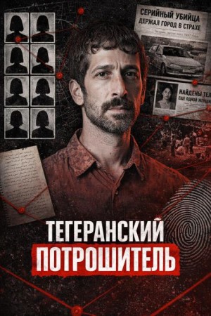 Ночная летучая мышь