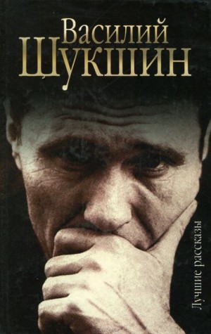 Рассказы. Часть 5