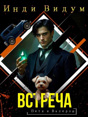 Петя и Валерон. Книга 7. Встреча